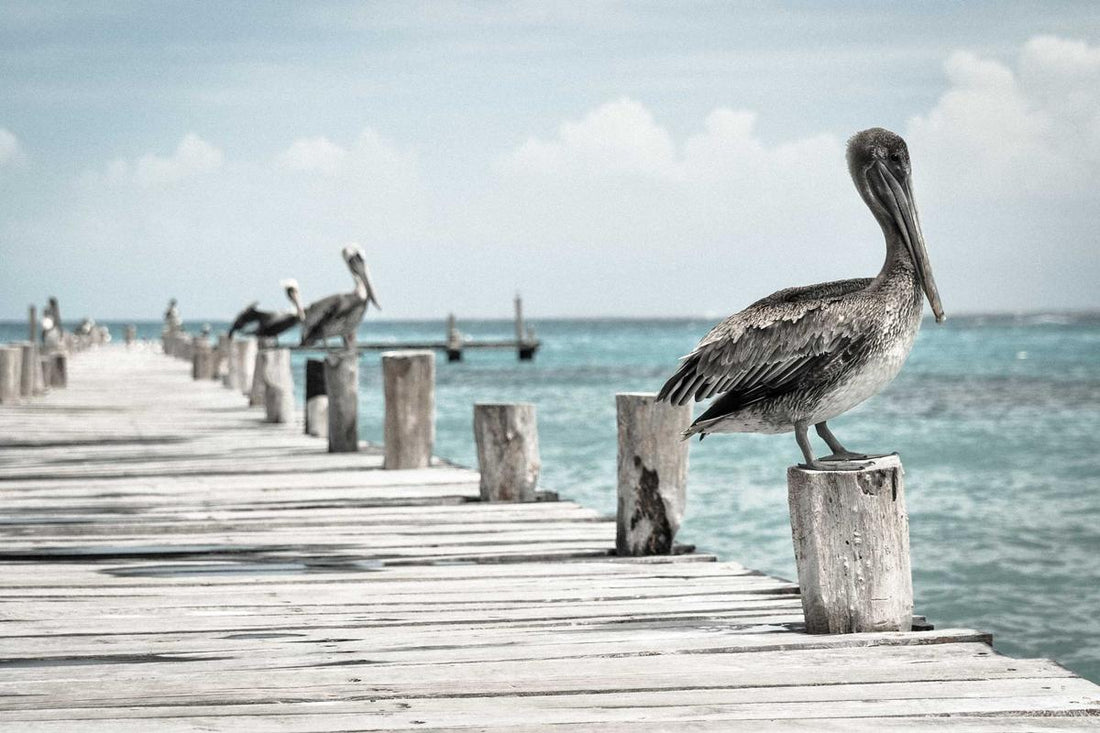Windows 11 bloqué sur la réparation automatique, PC qui ne démarre plus — causes et solutions, fast-licenses.com