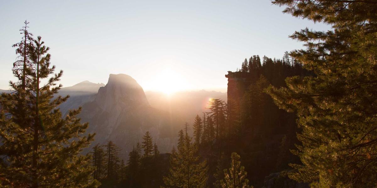 Gestionnaire de mots de passe 2026 — LastPass Bitwarden 1Password — fast-licenses.com